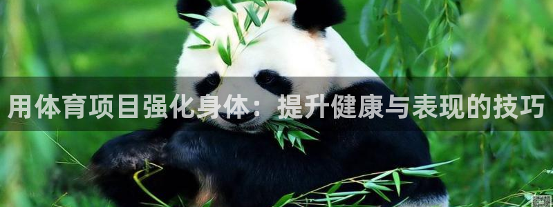 星欧娱乐雀V是什么平台