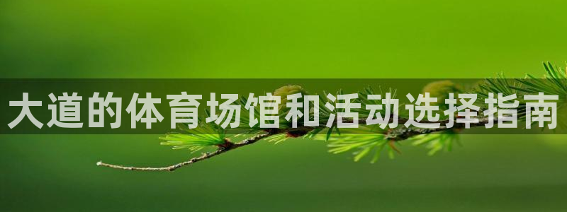 星奥娱乐集团股份有限公司